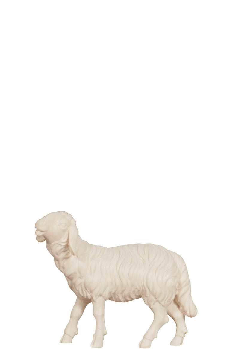 Kostner Nativity Sheep Eating Head Up