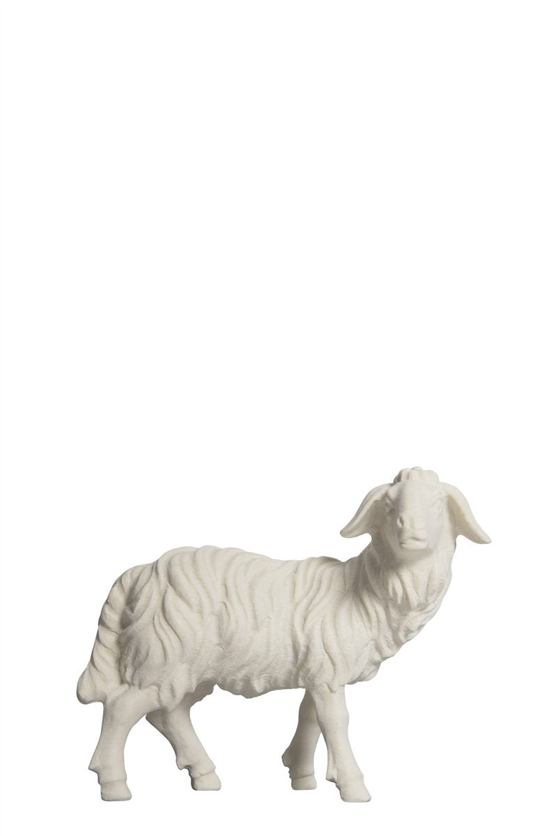 Kostner Nativity Sheep standing looking right