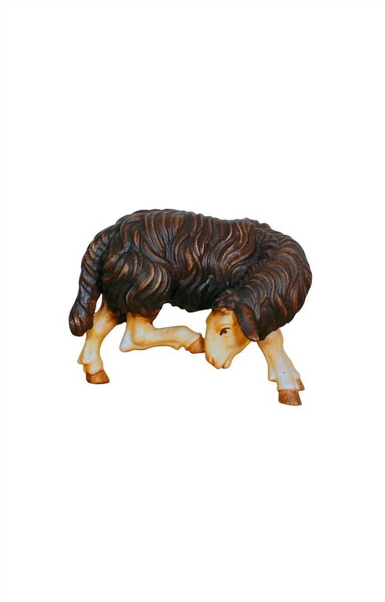 Kostner Nativity Sheep Scratching Black