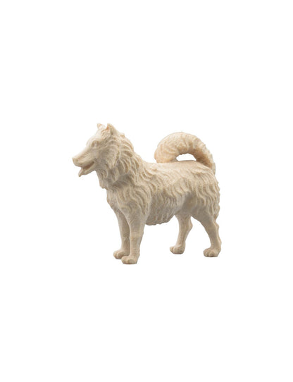IN Hund Spitz