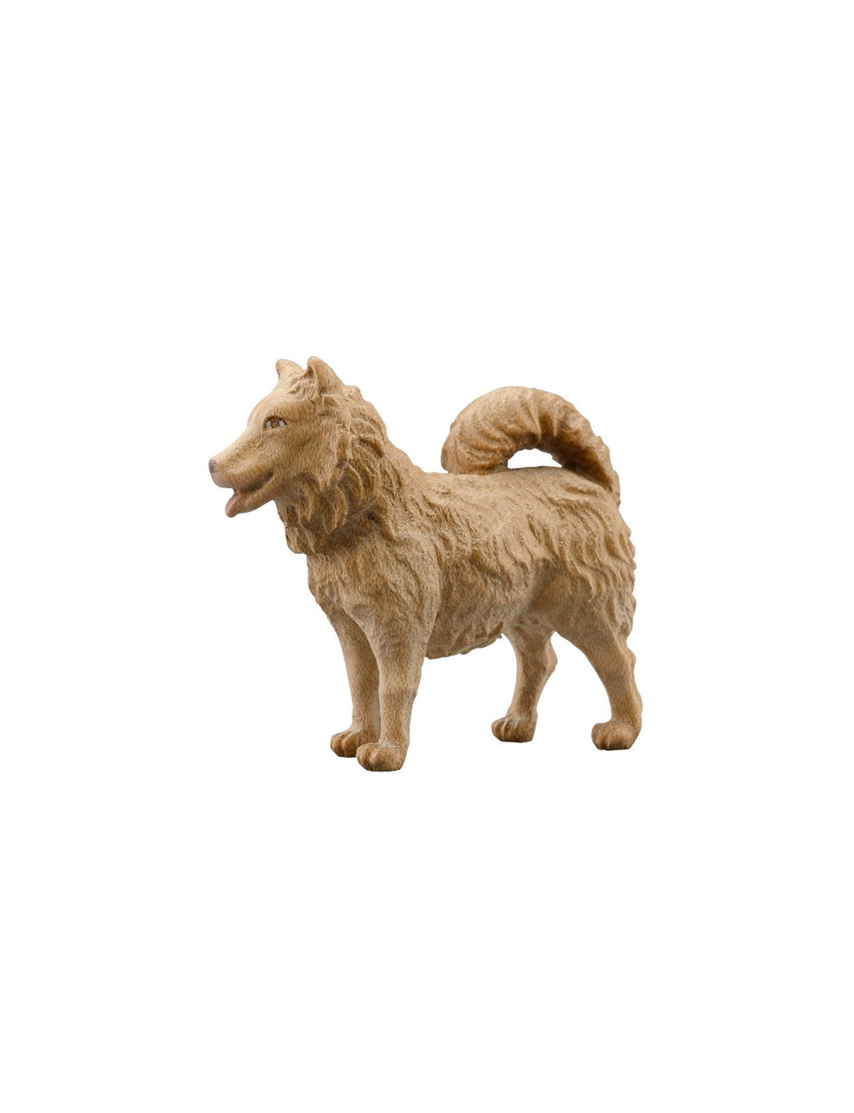IN Hund Spitz