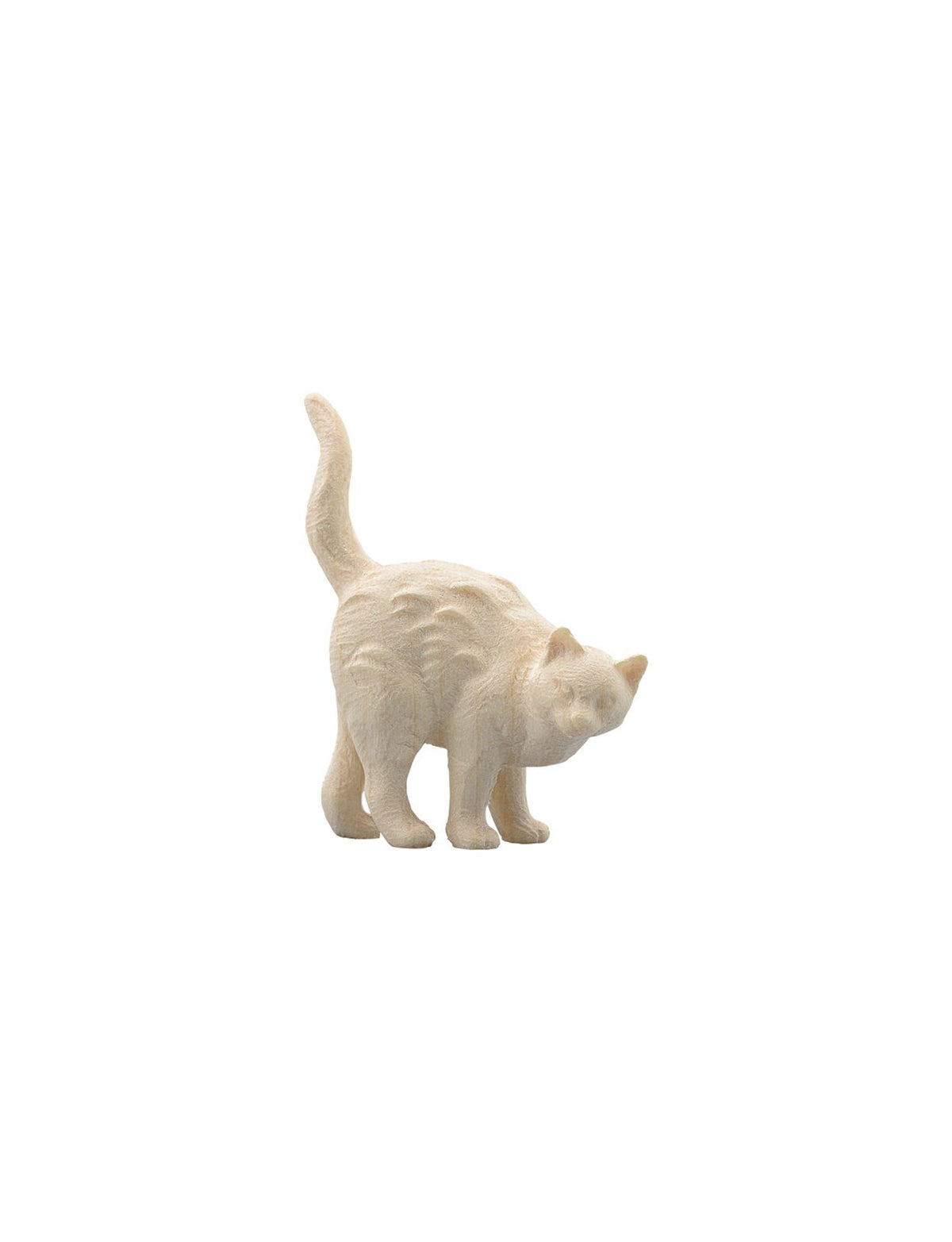 IN Katze stehend