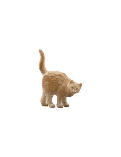 IN Katze stehend