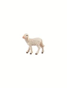 LI Lamm links schauend