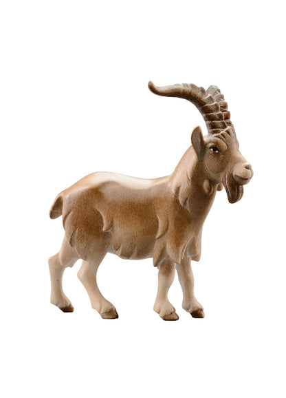 LI Ziegenbock