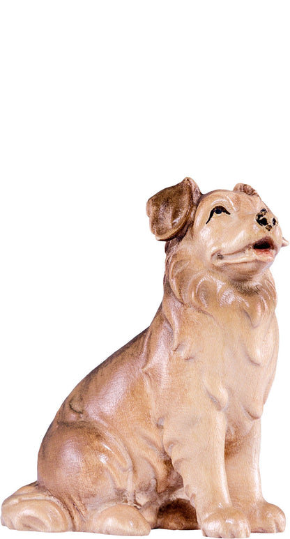 Schäferhund Artis