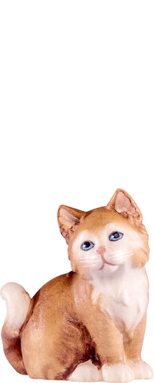 Katze Artis braun