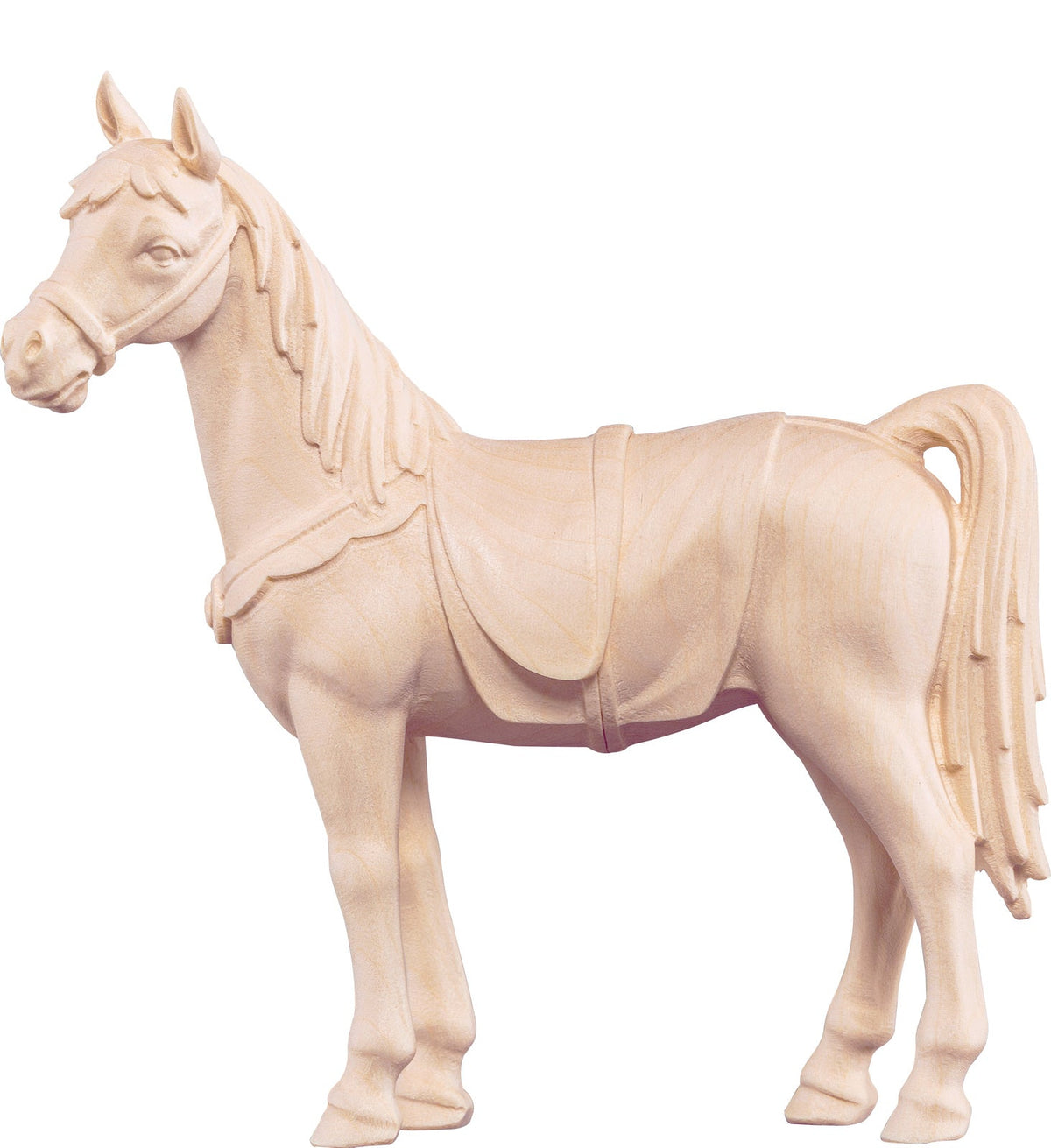Pferd Artis