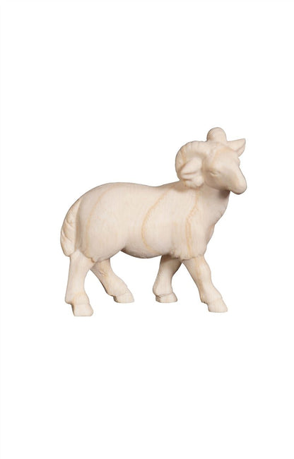 Pema Nativity Ram