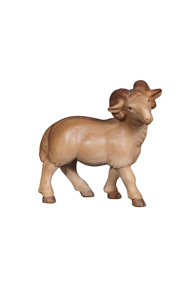 Pema Nativity Ram