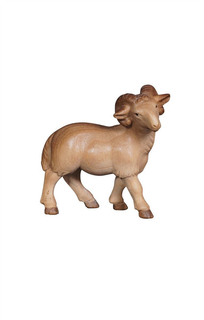 Pema Nativity Ram