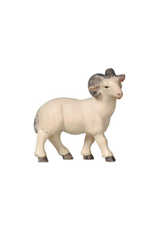 Pema Krippe Widder