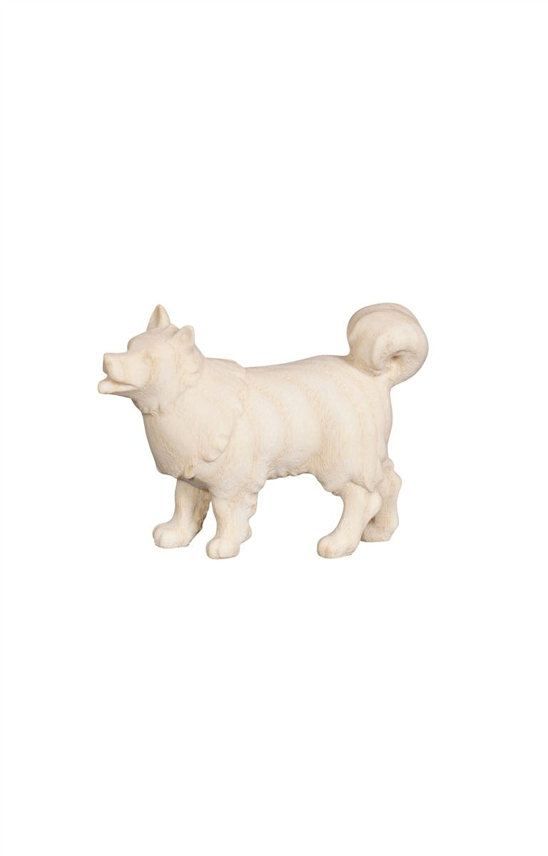 Pema Nativity Dog Spitz