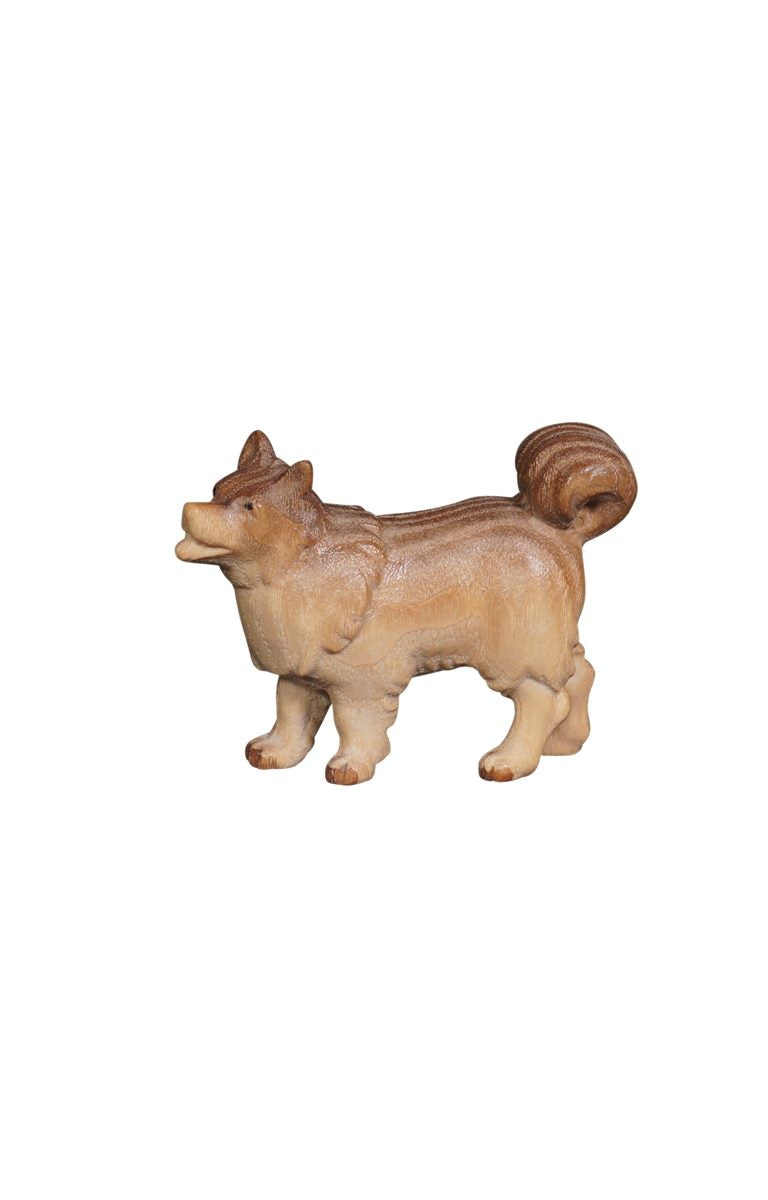 Pema Nativity Dog Spitz