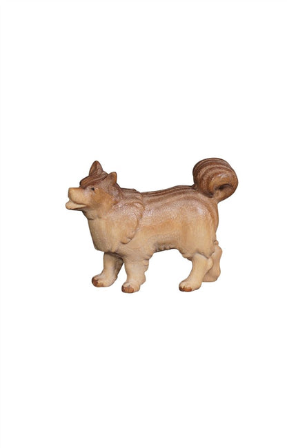 Pema Nativity Dog Spitz