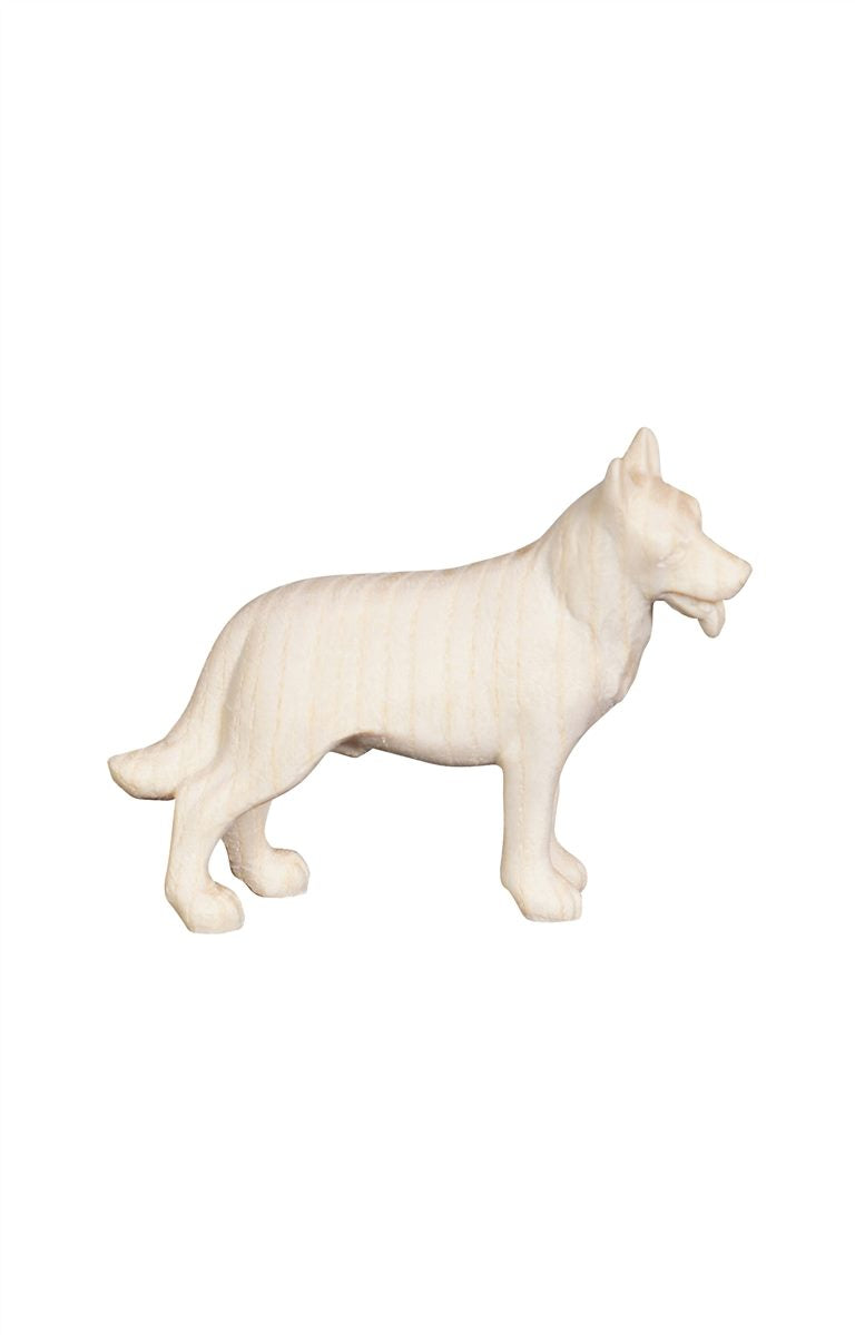 Pema Nativity German Shepherd