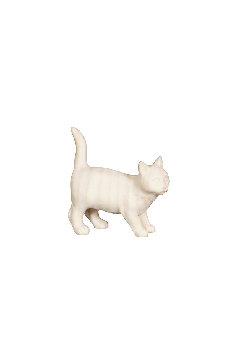 Pema Nativity Cat
