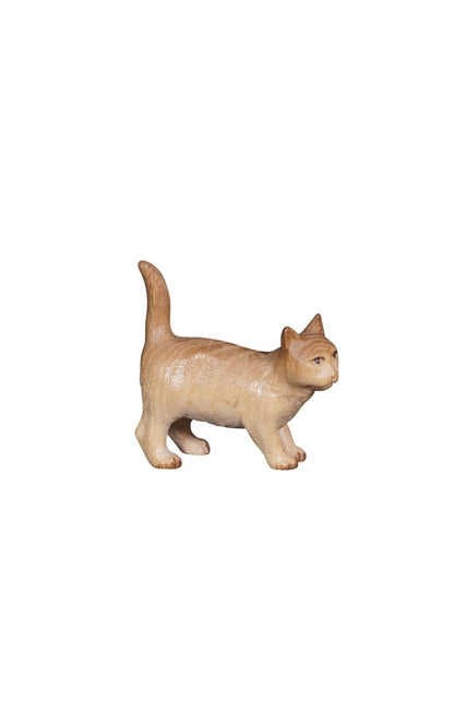 Pema Nativity Cat