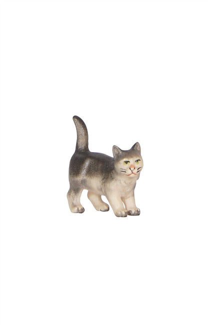 Pema Nativity Cat