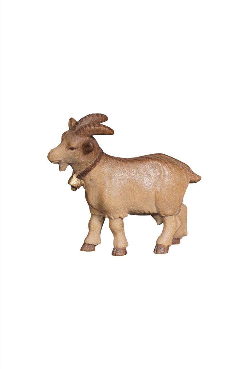 Pema Nativity Goat
