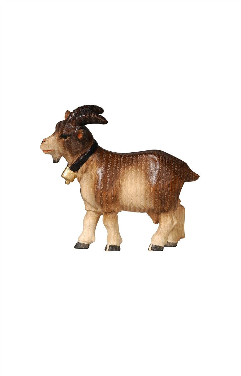 Pema Krippe Ziege