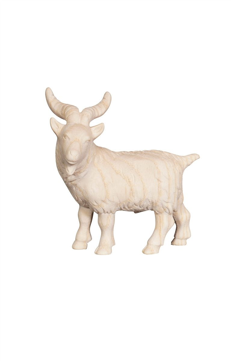 Pema Nativity Goat