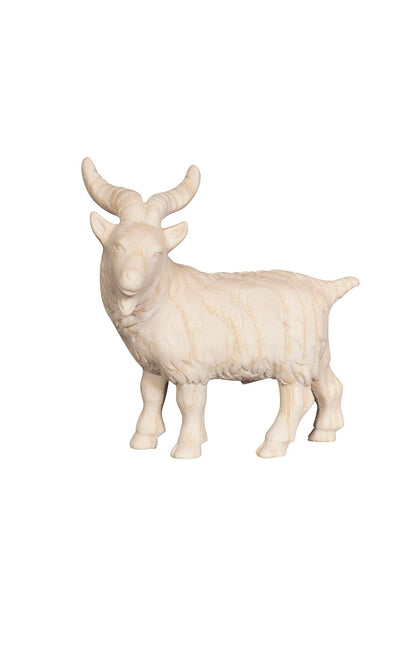 Pema Nativity Goat