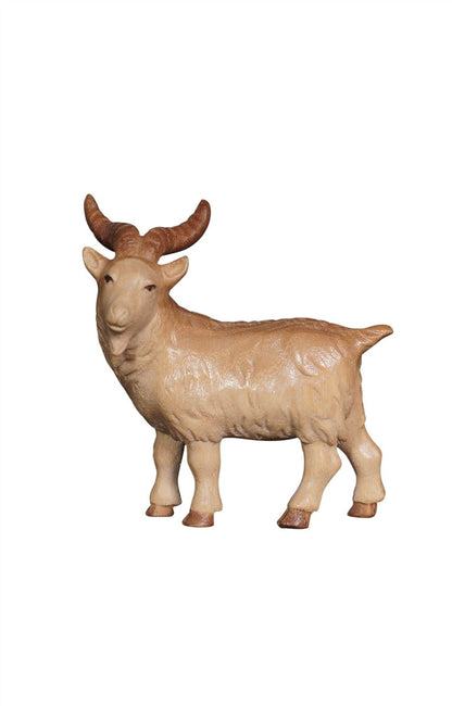 Pema Nativity Goat