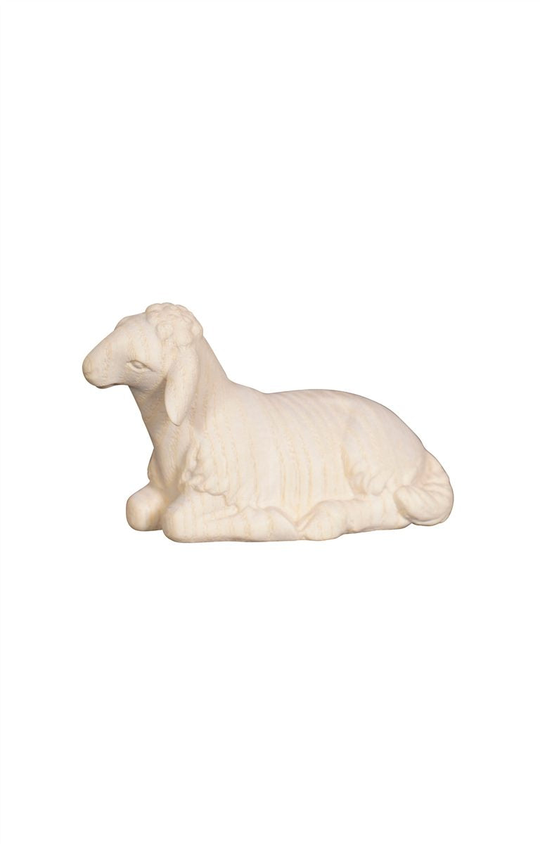 Pema Nativity Sheep lying forward looking
