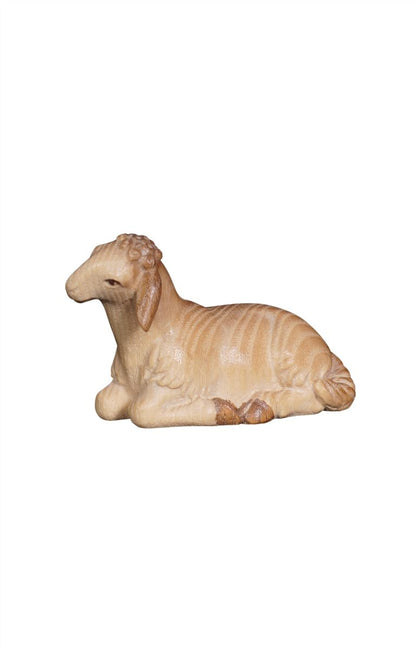 Pema Nativity Sheep lying forward looking
