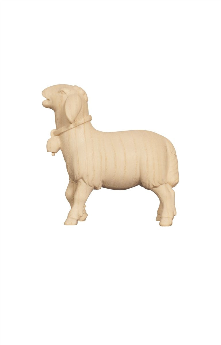 Pema Nativity Sheep Eating Head Up