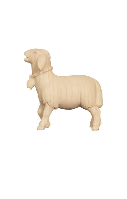 Pema Nativity Sheep Eating Head Up