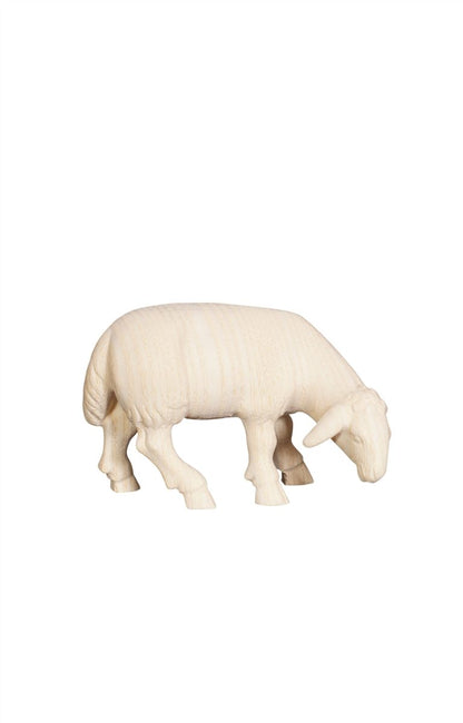 Pema Nativity Sheep Grazing Looking Right