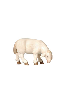 Pema Krippe Schaf äsend rechtsschauend