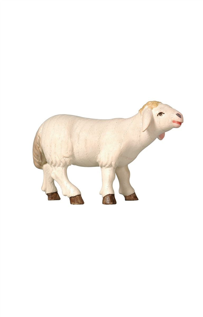 Pema Krippe Schaf stehend vorwärtsschauend