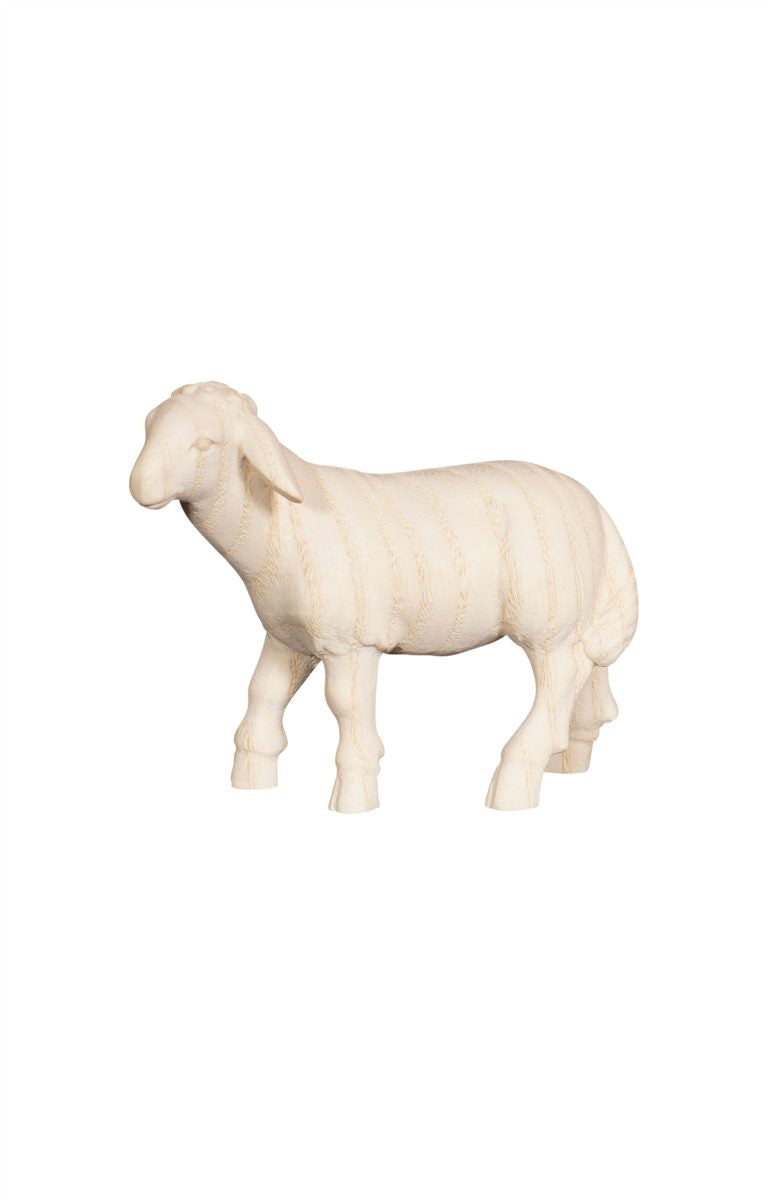 Pema Nativity Sheep standing looking left