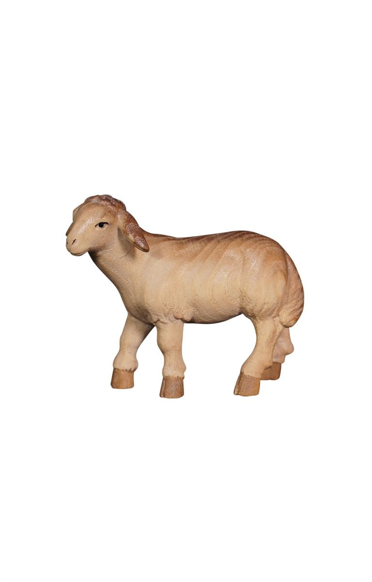 Pema Nativity Sheep standing looking left