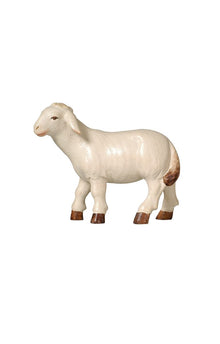 Pema Krippe Schaf stehend linksschauend