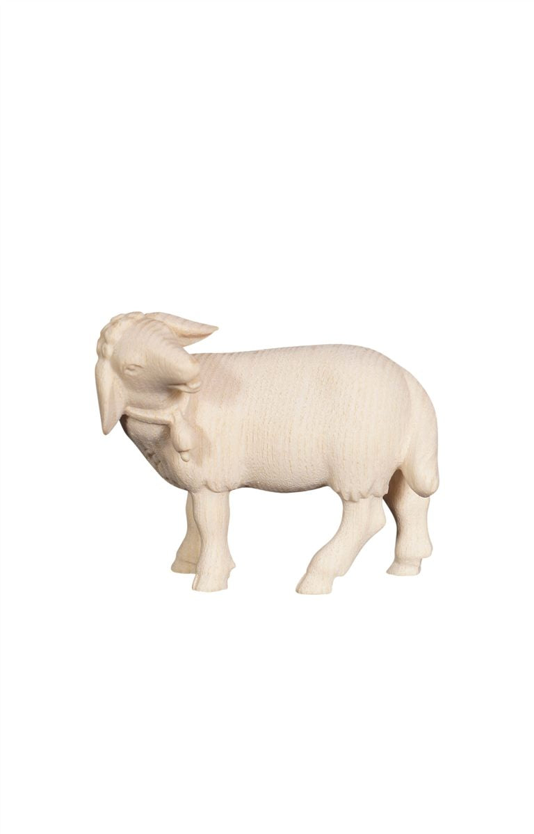 Pema Nativity Sheep Standing Bell Looking Left