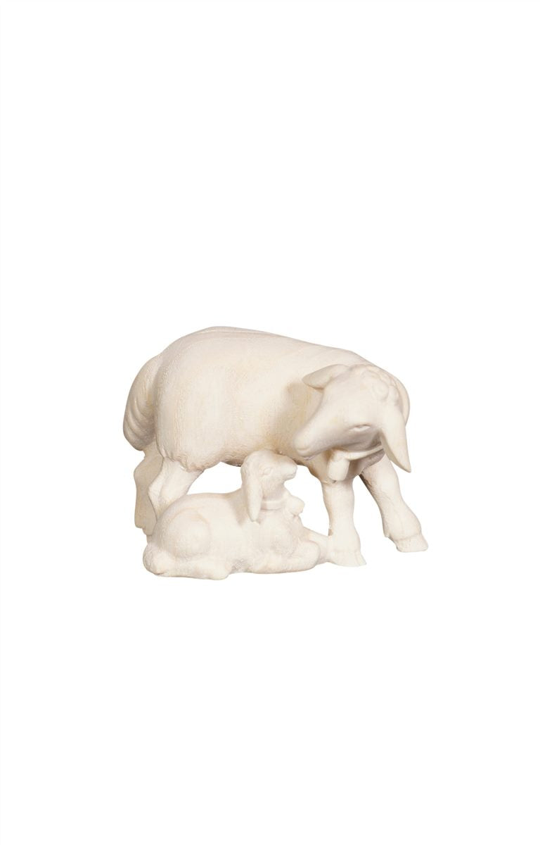 Pema Nativity Sheep Group