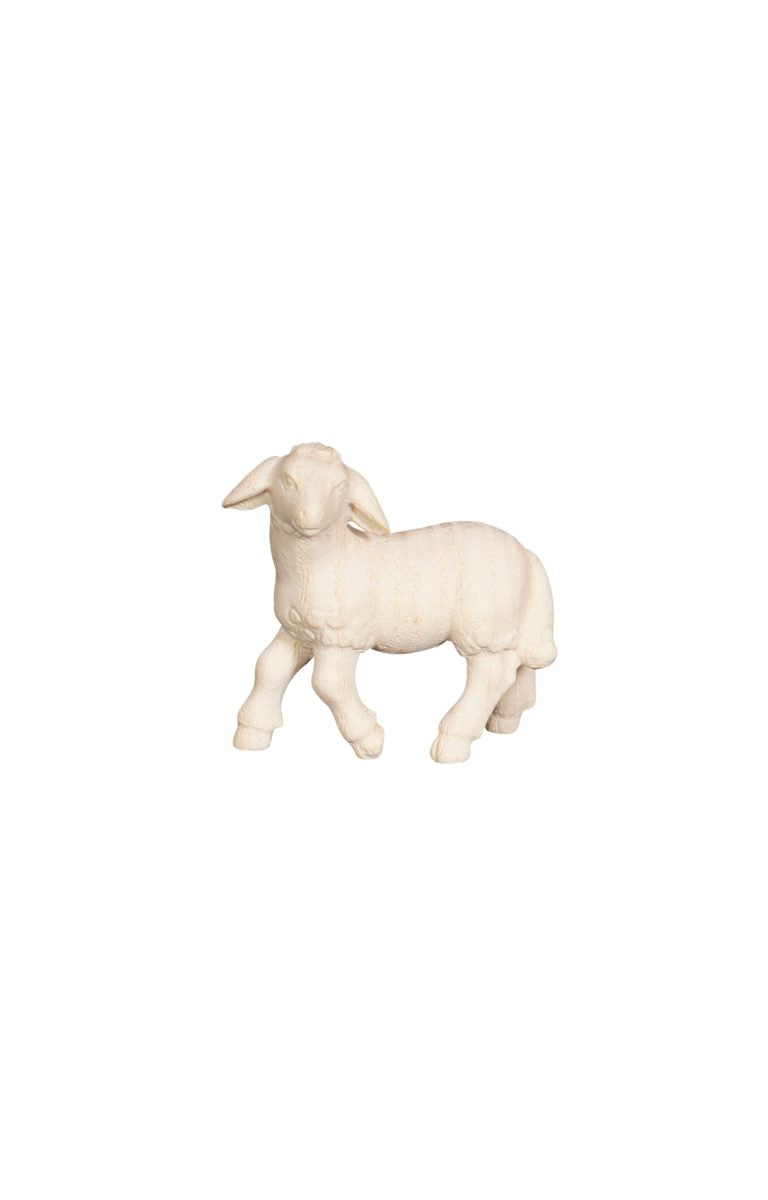 Pema Nativity Lamb standing looking left