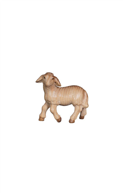 Pema Nativity Lamb standing looking left