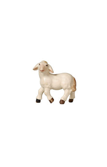 Pema Krippe Lamm stehend linksschauend