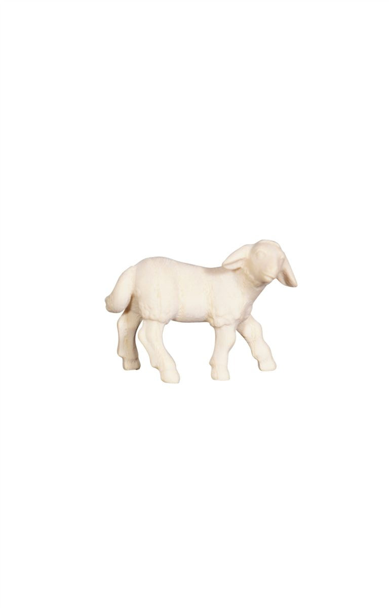 Pema Nativity Lamb standing looking right