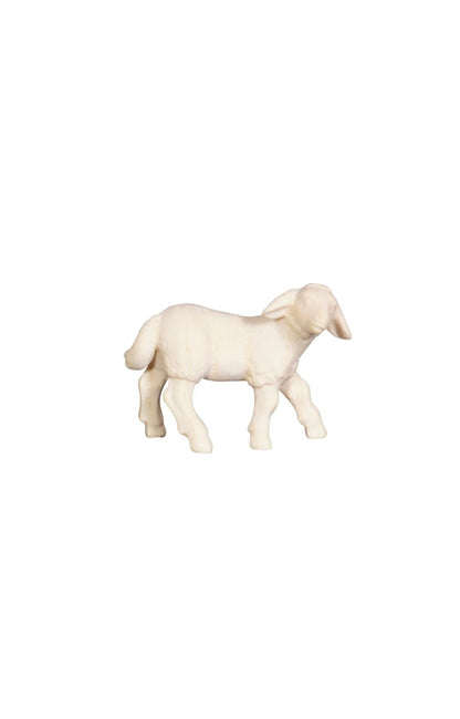 Pema Nativity Lamb standing looking right