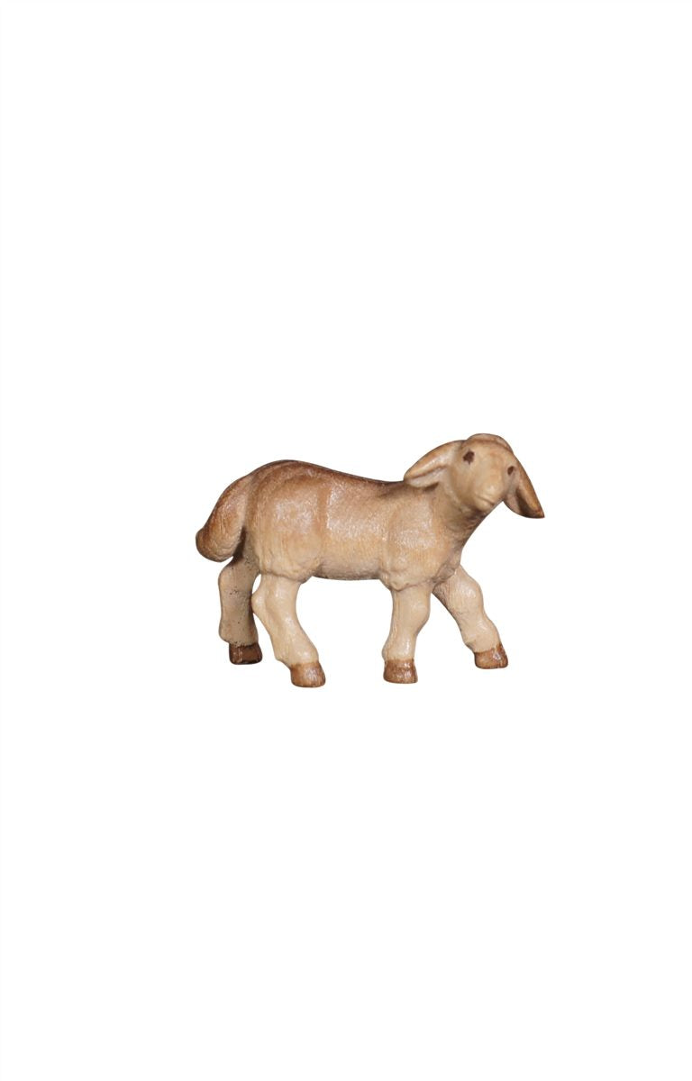 Pema Nativity Lamb standing looking right