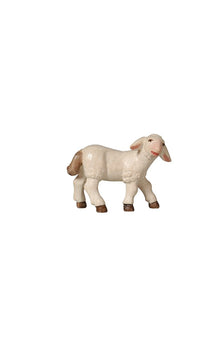 Pema Krippe Lamm stehend rechtsschauend