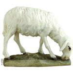 Schaf äsend ANRI Ulrich Bernardi