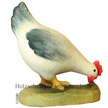 Henne grau pickend ANRI Ulrich Bernardi