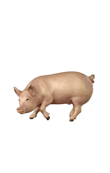 Kostner Krippe Schwein